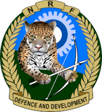 RDF Reserve Force